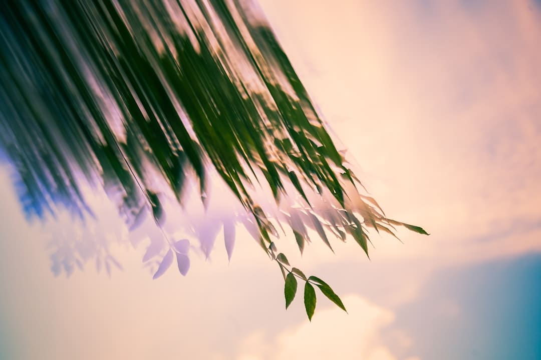 华鑫证券给予荣盛石化“买入评级”